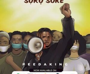 Video: Soro Soke: Peedakings Powerful New Anthem Is Here!