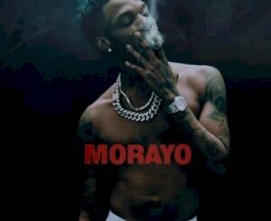 Morayo Live Tour – Wizkid Cancels Four Key North American Stops