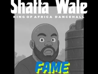 Shatta wale Fame