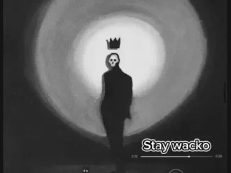Stay Wacko