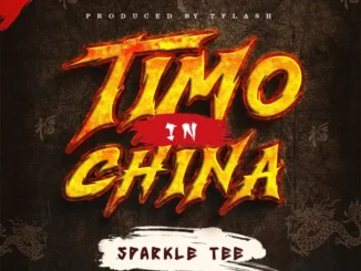 Sparkle Tee – Timo In China