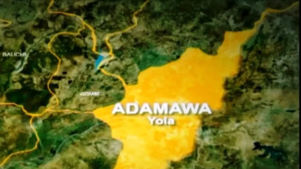 61,951 apply for 4,000 Adamawa civil service jobs