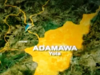 61,951 apply for 4,000 Adamawa civil service jobs