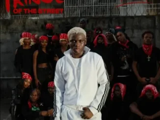 Ayo Maff – Felony