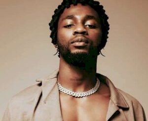 Omah Lays New Snippet Sparks Buzz: Is This the Next Big Hit?