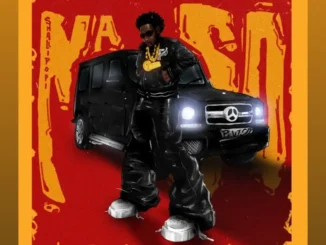 Shallipopi – Na So