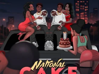 S2vibes - National Cake