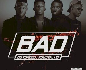 AUDIO | VIDEO: Boybreed X Xbusta X HD – BAD (Prod. Omeiza)