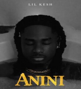 Lil Kesh – Anini (Thief) 