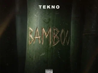 Tekno – Bamboo
