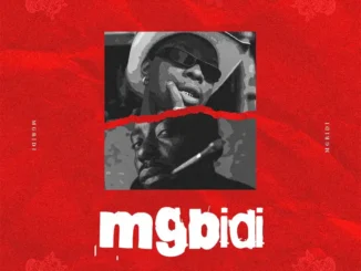 Highstarlavista – Mgbidi ft. Erigga