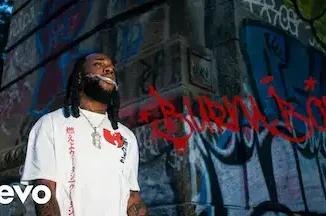 Burna Boy – Soft Life