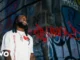 Burna Boy – Soft Life
