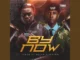 Evado – By Now (Remix) Ft. Bella Shmurda