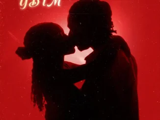 Joeboy – YBTM