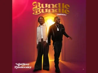 Mistikay – Bundle Bundle (Remix) Ft. Zinoleesky