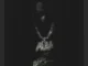 Rybeena – Patek