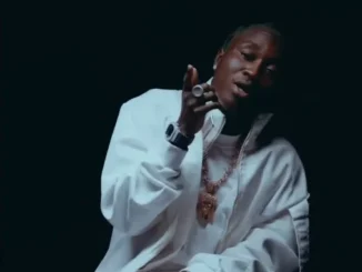 TML Vibez – Shown Pe
