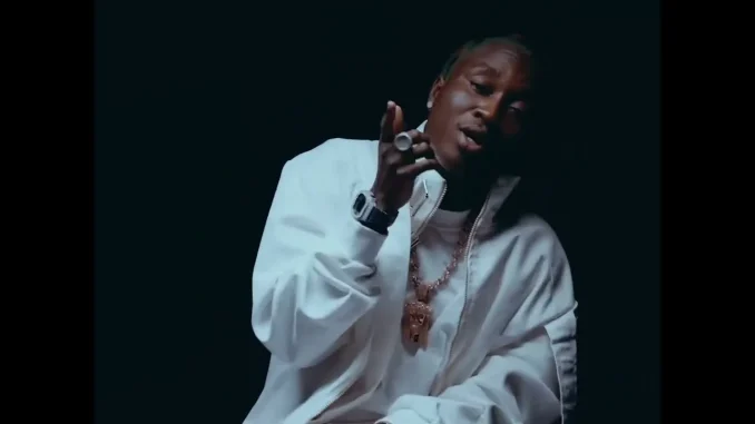 TML Vibez –  Shown Pe