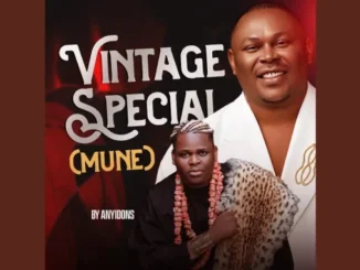 Anyidons – Vintage Special (Mune)