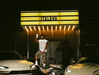 Zlatan – ITALAWA
